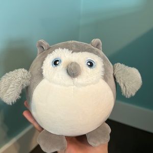 owl squeezanmals